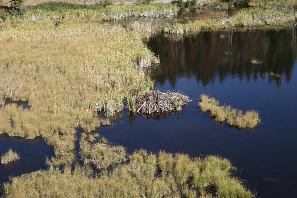 كاملوبس Lac Le Jeune Resort & Nature Centre المظهر الخارجي الصورة