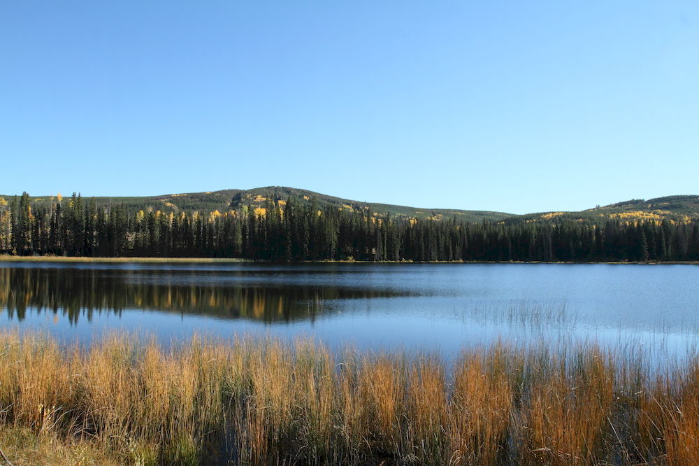 كاملوبس Lac Le Jeune Resort & Nature Centre المظهر الخارجي الصورة